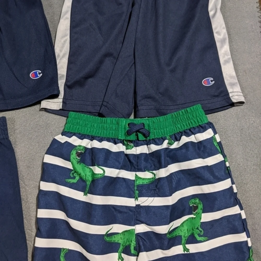 Champion these shorts